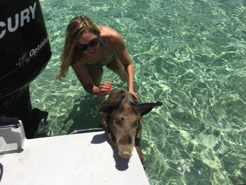 boat for bahama swimming pigs